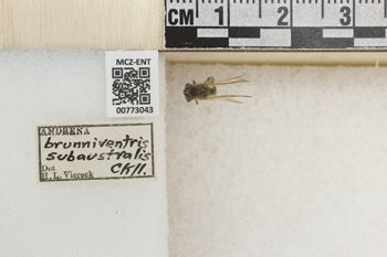 Media type: image;   Entomology 773043 Aspect: Labels